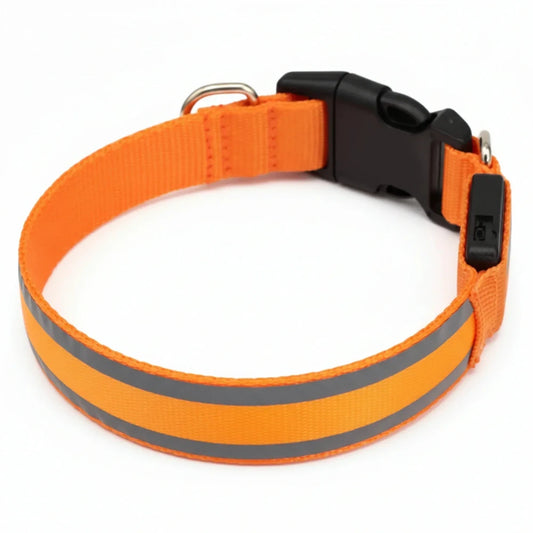 NordPaws™ | Lystergivande Hundhalsband